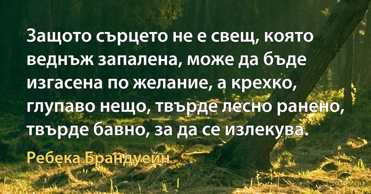 Защото сърцето не е свещ, която веднъж запалена, може да бъде изгасена по желание, а крехко, глупаво нещо, твърде лесно ранено, твърде бавно, за да се излекува. (Ребека Брандуейн)