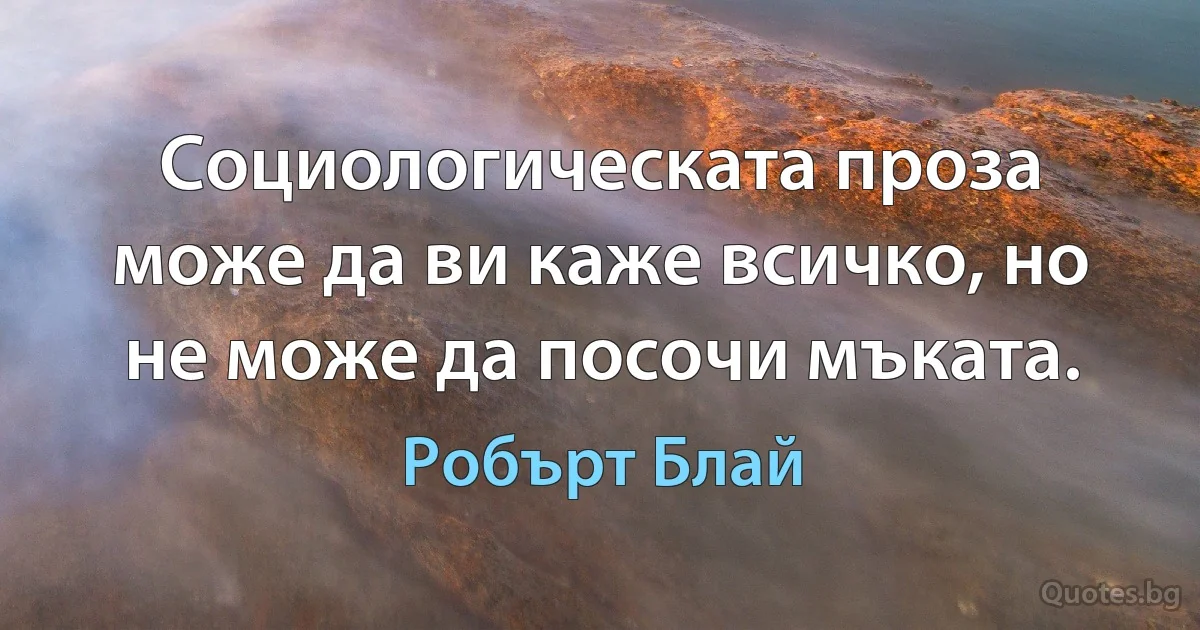 Социологическата проза може да ви каже всичко, но не може да посочи мъката. (Робърт Блай)