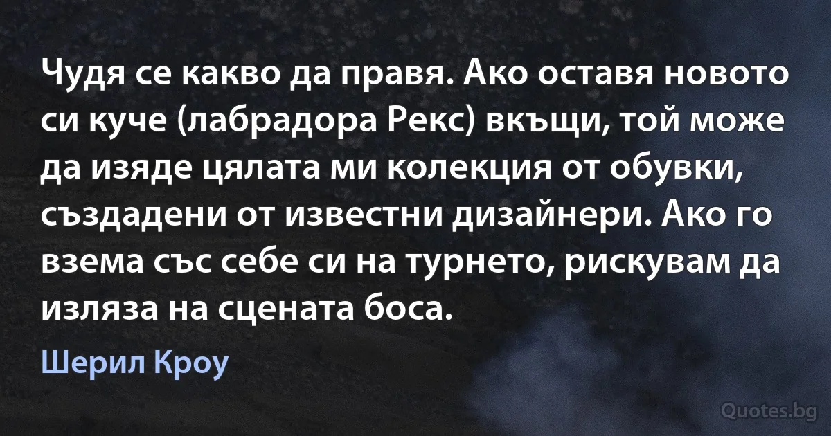 Чудя се какво да правя. Ако оставя новото си куче (лабрадора Рекс) вкъщи, той може да изяде цялата ми колекция от обувки, създадени от известни дизайнери. Ако го взема със себе си на турнето, рискувам да изляза на сцената боса. (Шерил Кроу)