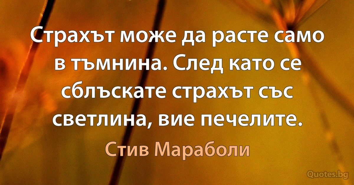 Страхът може да расте само в тъмнина. След като се сблъскате страхът със светлина, вие печелите. (Стив Мараболи)