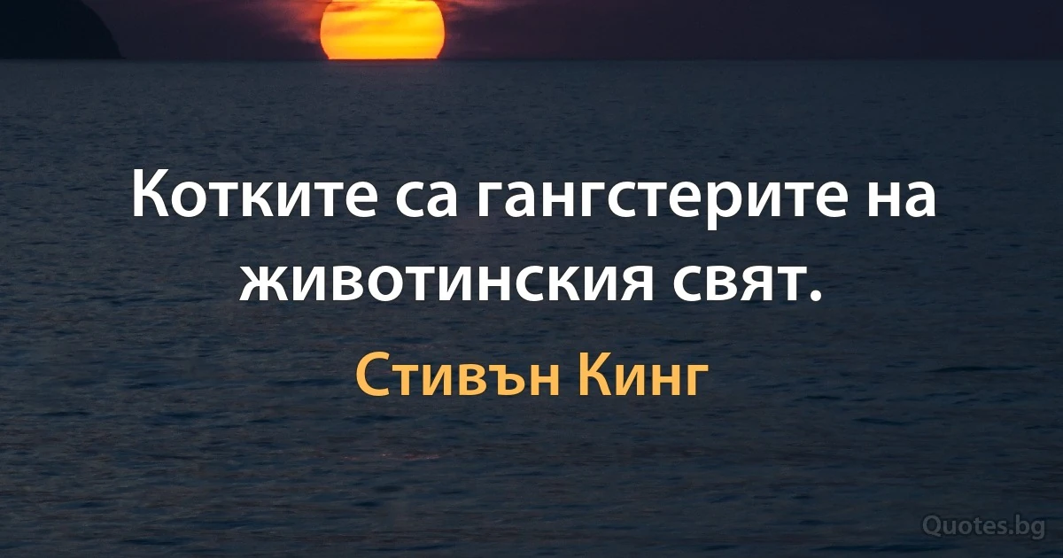 Котките са гангстерите на животинския свят. (Стивън Кинг)