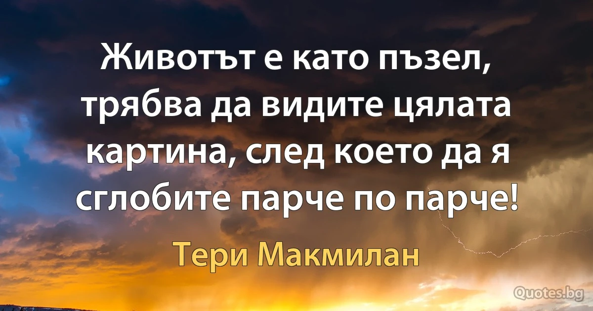 Животът е като пъзел, трябва да видите цялата картина, след което да я сглобите парче по парче! (Тери Макмилан)