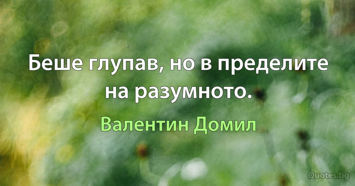 Беше глупав, но в пределите на разумното. (Валентин Домил)