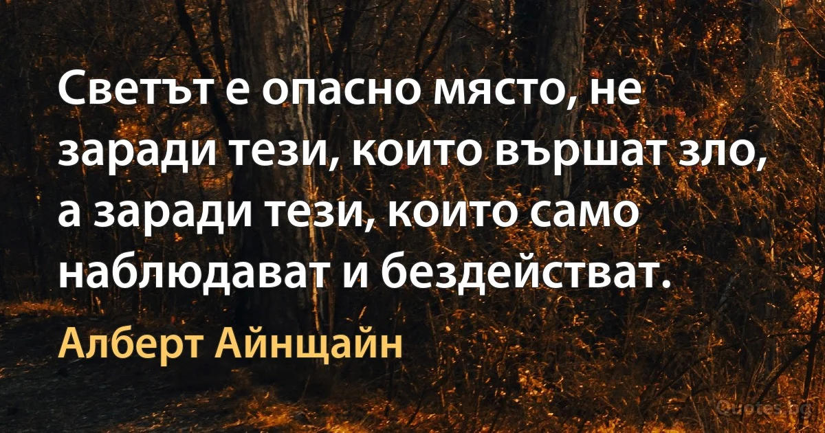 Светът е опасно място, не заради тези, които вършат зло, а заради тези, които само наблюдават и бездействат. (Алберт Айнщайн)