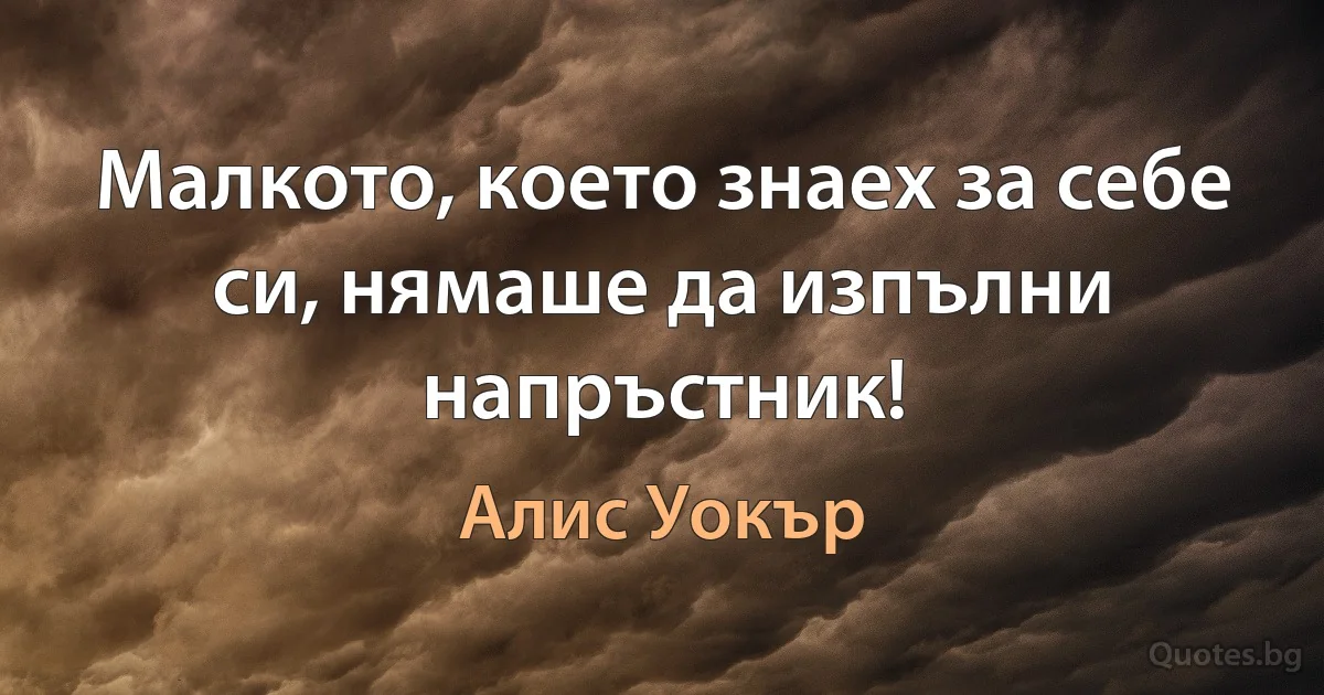 Малкото, което знаех за себе си, нямаше да изпълни напръстник! (Алис Уокър)