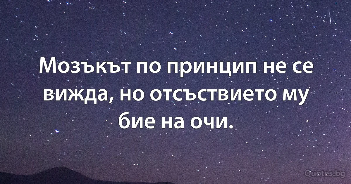 Мозъкът по принцип не се вижда, но отсъствието му бие на очи. (INZ BG)