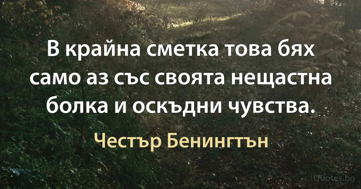 В крайна сметка това бях само аз със своята нещастна болка и оскъдни чувства. (Честър Бенингтън)