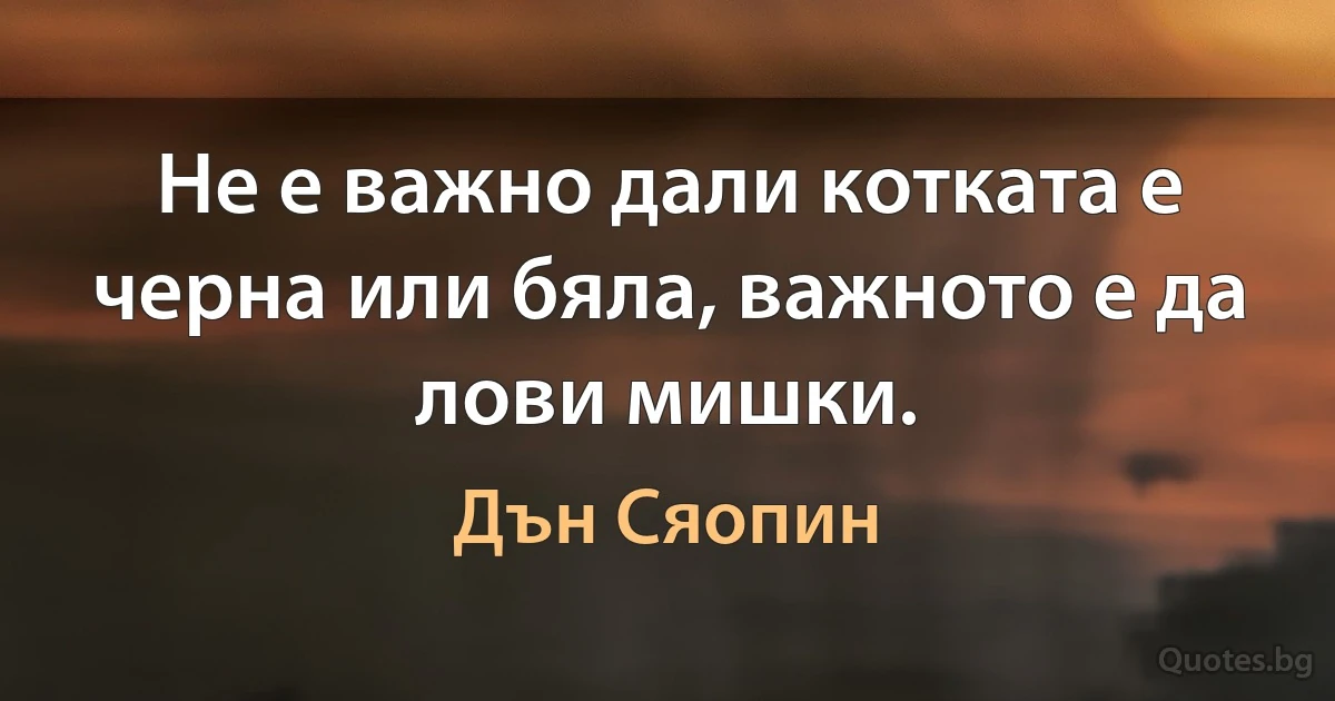 Не е важно дали котката е черна или бяла, важното е да лови мишки. (Дън Сяопин)