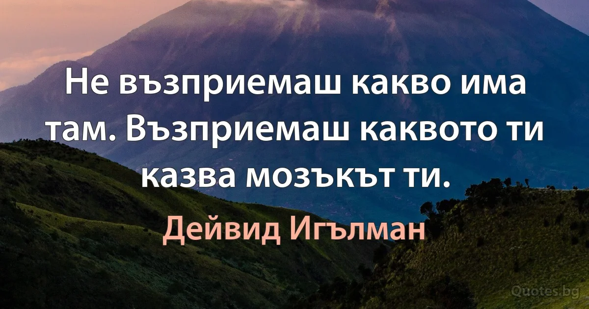 Не възприемаш какво има там. Възприемаш каквото ти казва мозъкът ти. (Дейвид Игълман)