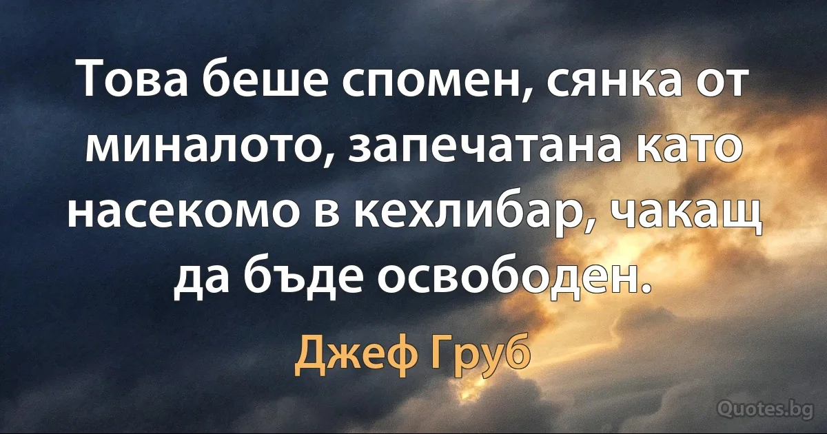 Това беше спомен, сянка от миналото, запечатана като насекомо в кехлибар, чакащ да бъде освободен. (Джеф Груб)