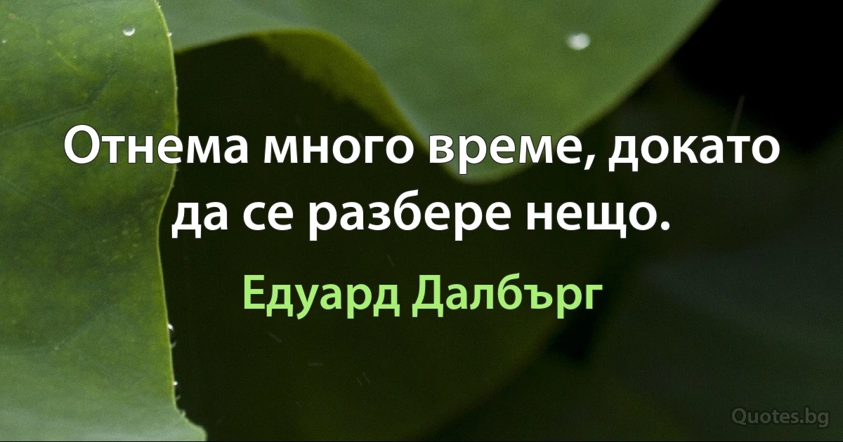 Отнема много време, докато да се разбере нещо. (Едуард Далбърг)