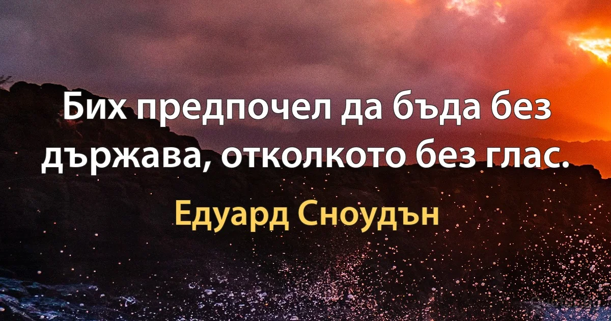 Бих предпочел да бъда без държава, отколкото без глас. (Едуард Сноудън)