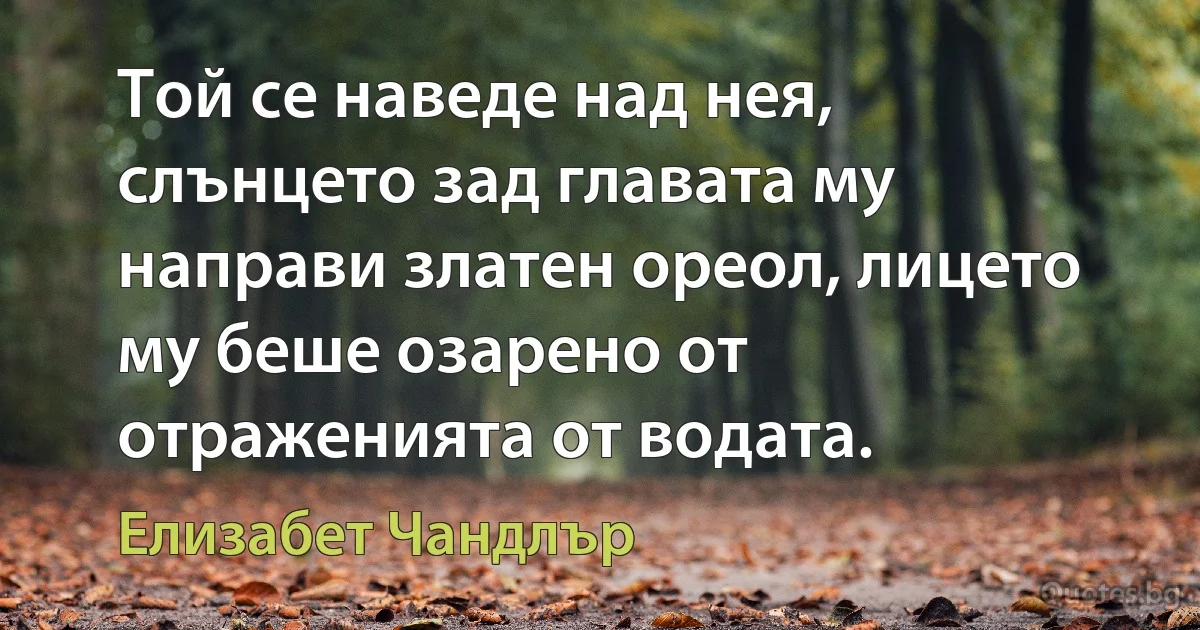 Той се наведе над нея, слънцето зад главата му направи златен ореол, лицето му беше озарено от отраженията от водата. (Елизабет Чандлър)