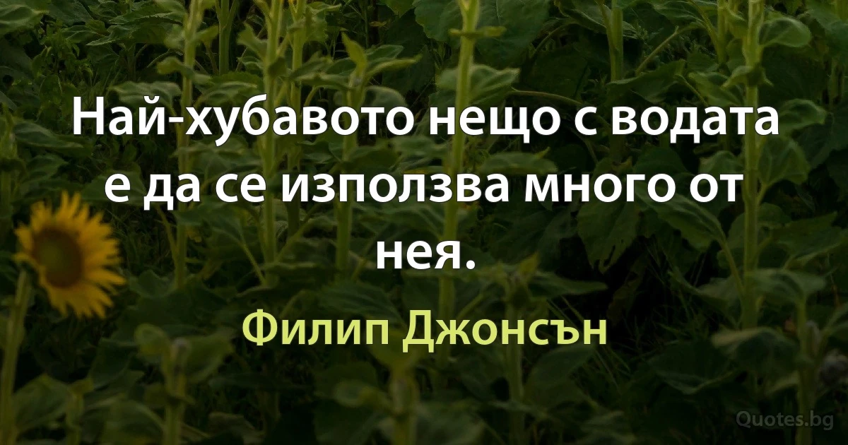 Най-хубавото нещо с водата е да се използва много от нея. (Филип Джонсън)