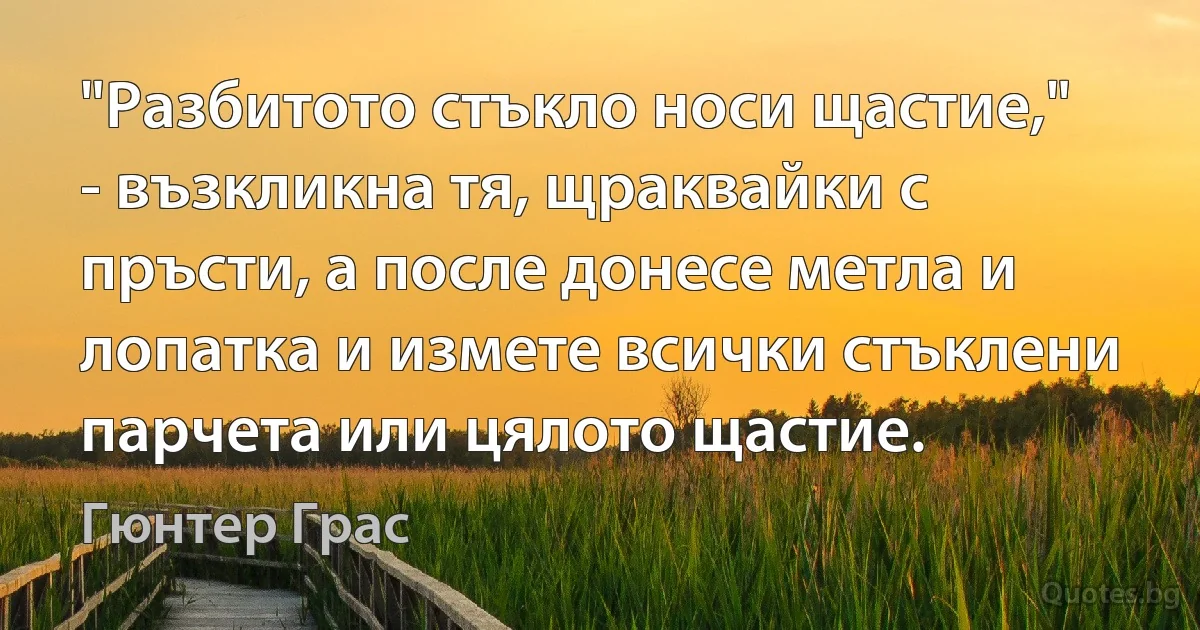 "Разбитото стъкло носи щастие," - възкликна тя, щраквайки с пръсти, а после донесе метла и лопатка и измете всички стъклени парчета или цялото щастие. (Гюнтер Грас)