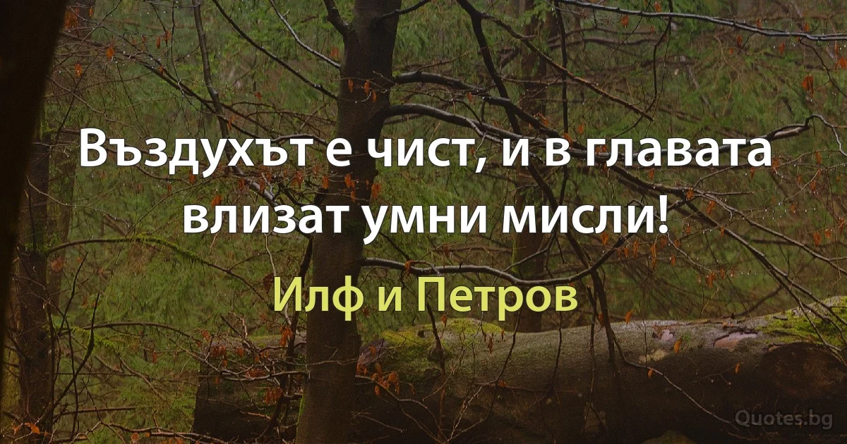 Въздухът е чист, и в главата влизат умни мисли! (Илф и Петров)