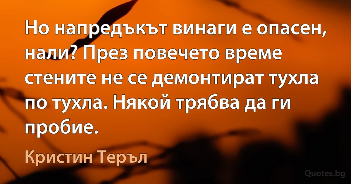 Но напредъкът винаги е опасен, нали? През повечето време стените не се демонтират тухла по тухла. Някой трябва да ги пробие. (Кристин Теръл)