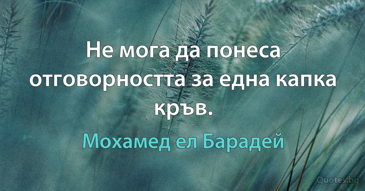 Не мога да понеса отговорността за една капка кръв. (Мохамед ел Барадей)