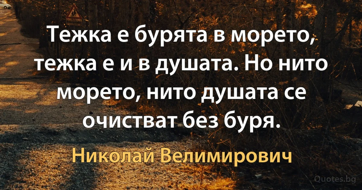 Тежка е бурята в морето, тежка е и в душата. Но нито морето, нито душата се очистват без буря. (Николай Велимирович)