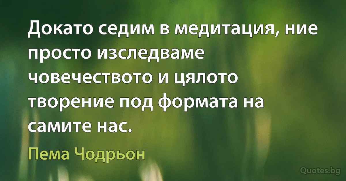 Докато седим в медитация, ние просто изследваме човечеството и цялото творение под формата на самите нас. (Пема Чодрьон)