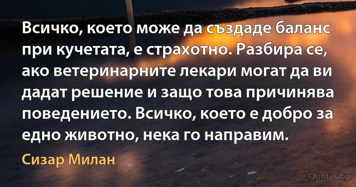 Всичко, което може да създаде баланс при кучетата, е страхотно. Разбира се, ако ветеринарните лекари могат да ви дадат решение и защо това причинява поведението. Всичко, което е добро за едно животно, нека го направим. (Сизар Милан)