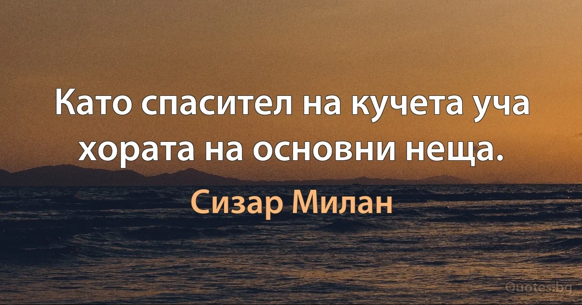 Като спасител на кучета уча хората на основни неща. (Сизар Милан)