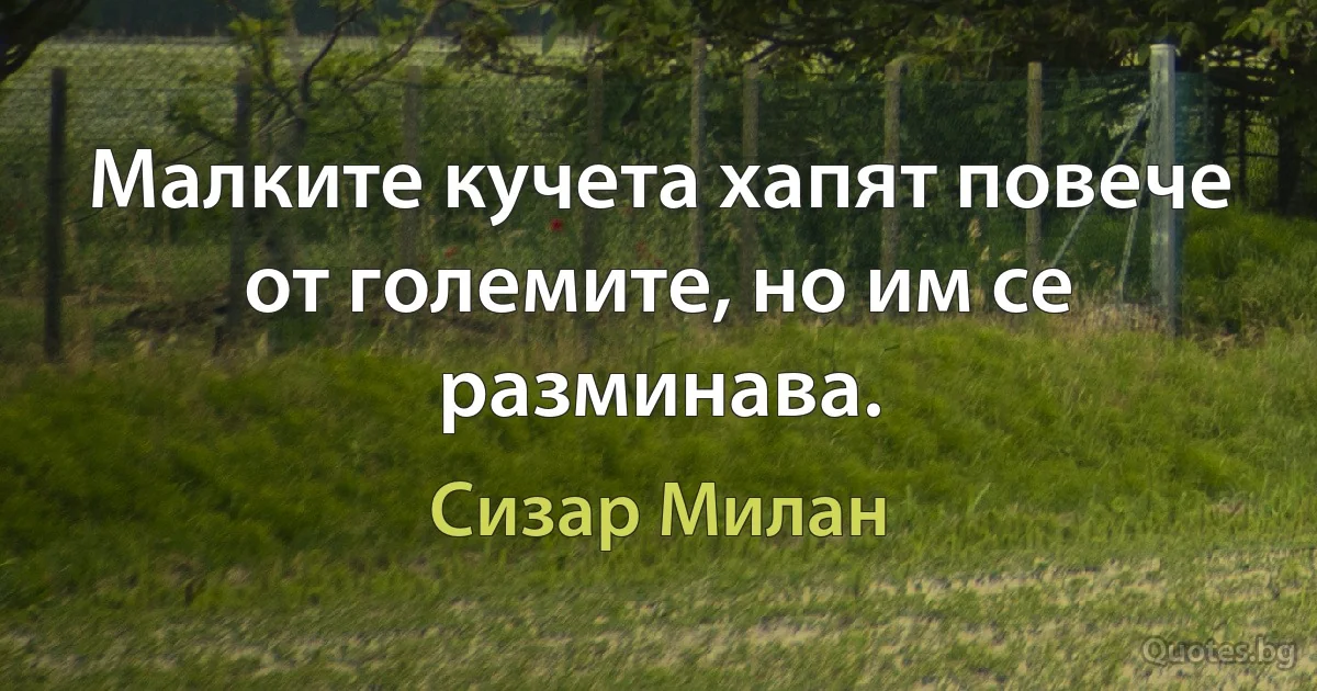 Малките кучета хапят повече от големите, но им се разминава. (Сизар Милан)