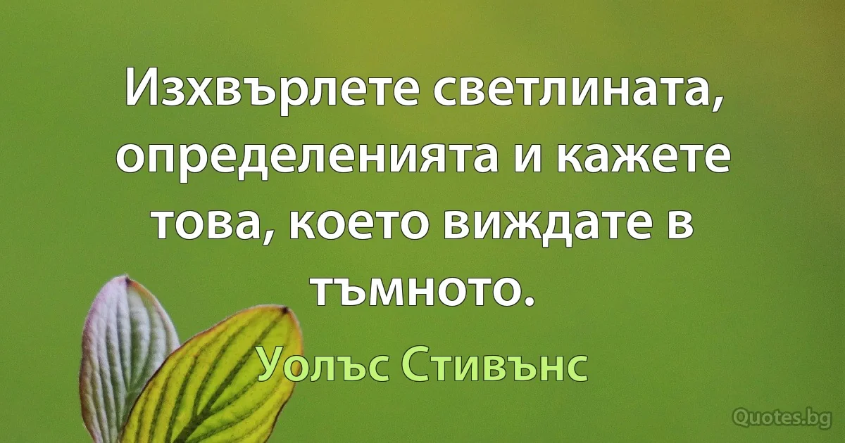 Изхвърлете светлината, определенията и кажете това, което виждате в тъмното. (Уолъс Стивънс)