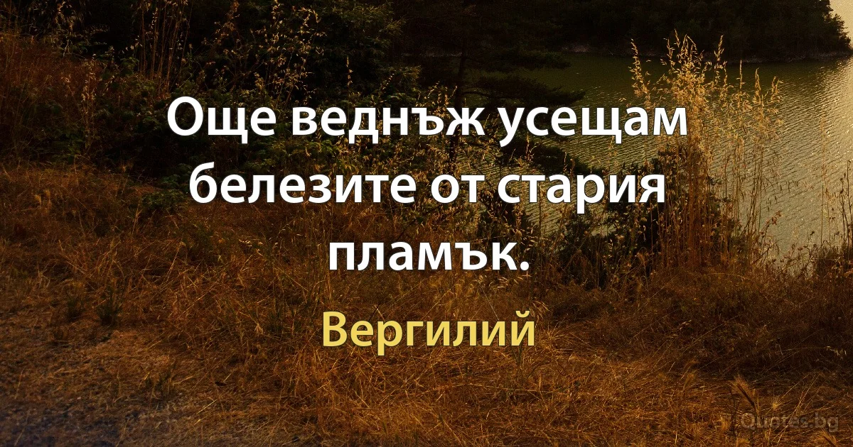 Още веднъж усещам белезите от стария пламък. (Вергилий)