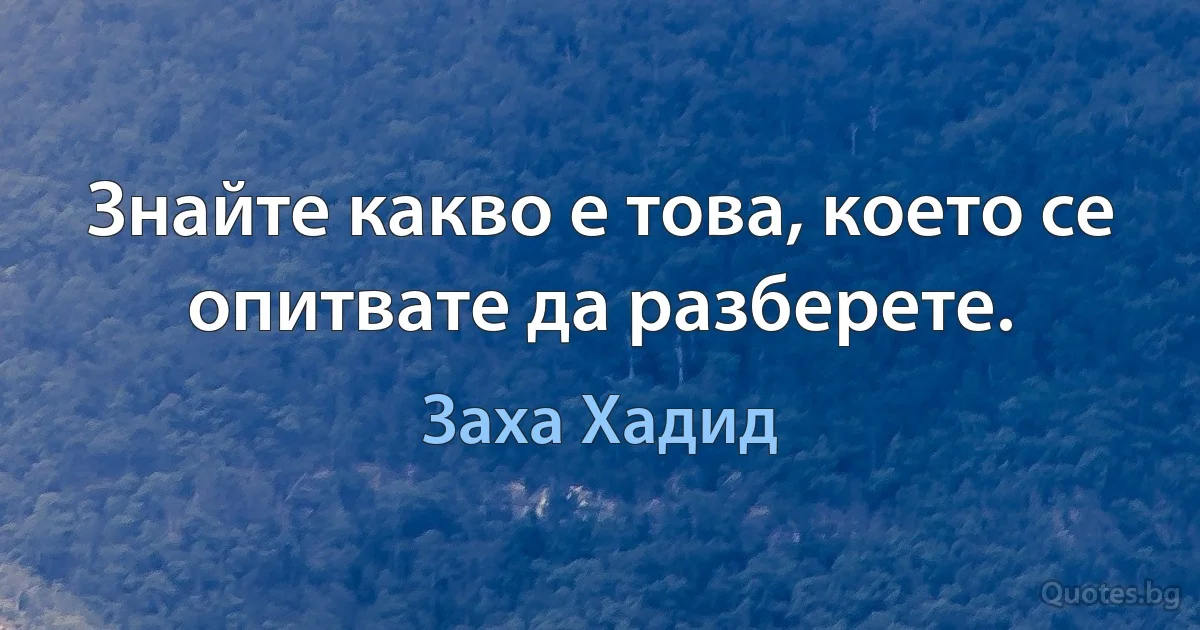 Знайте какво е това, което се опитвате да разберете. (Заха Хадид)