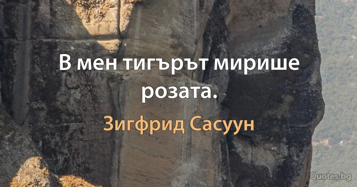 В мен тигърът мирише розата. (Зигфрид Сасуун)