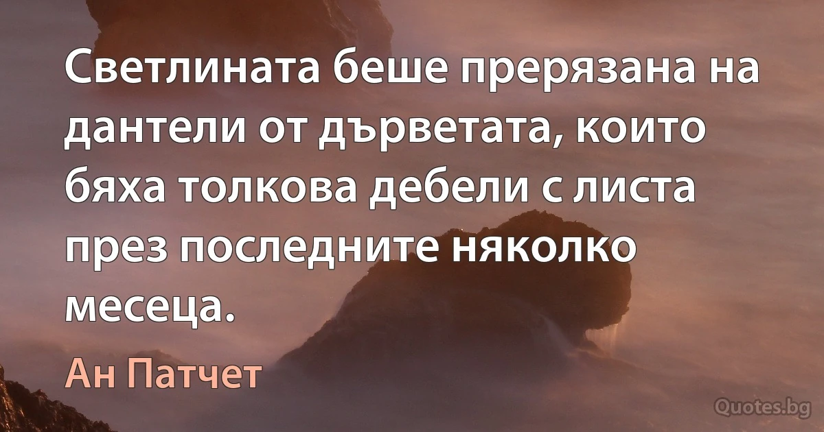 Светлината беше прерязана на дантели от дърветата, които бяха толкова дебели с листа през последните няколко месеца. (Ан Патчет)