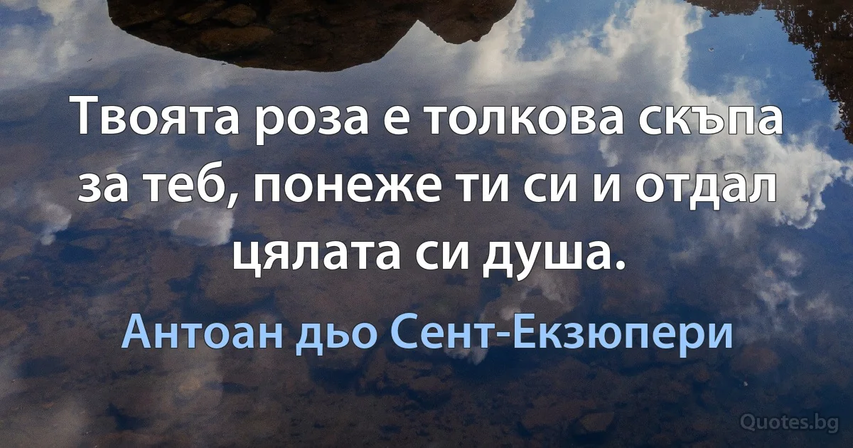 Твоята роза е толкова скъпа за теб, понеже ти си и отдал цялата си душа. (Антоан дьо Сент-Екзюпери)