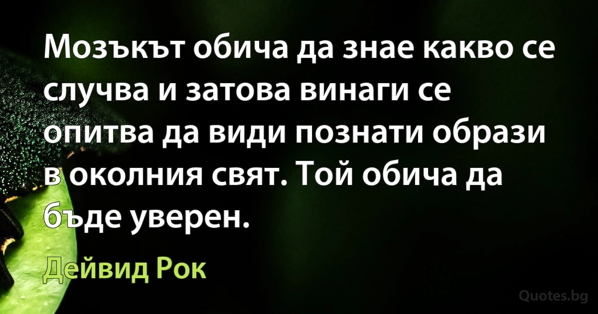 Мозъкът обича да знае какво се случва и затова винаги се опитва да види познати образи в околния свят. Той обича да бъде уверен. (Дейвид Рок)