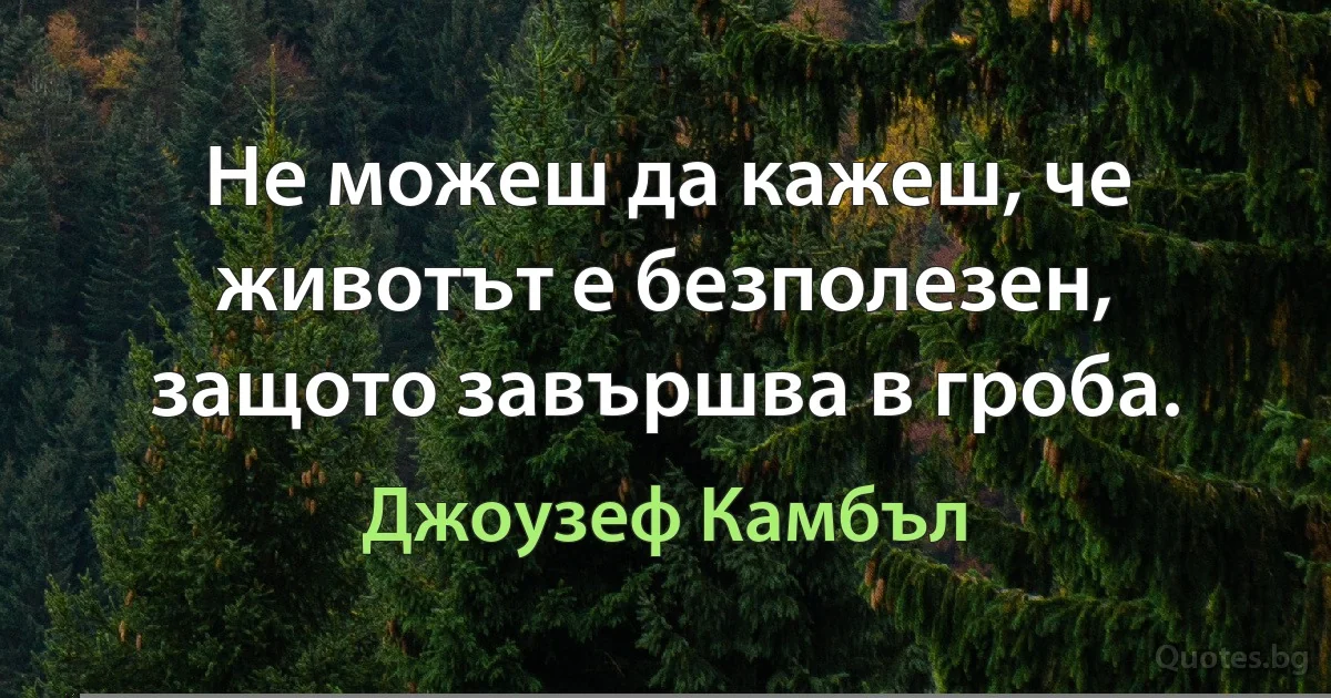 Не можеш да кажеш, че животът е безполезен, защото завършва в гроба. (Джоузеф Камбъл)