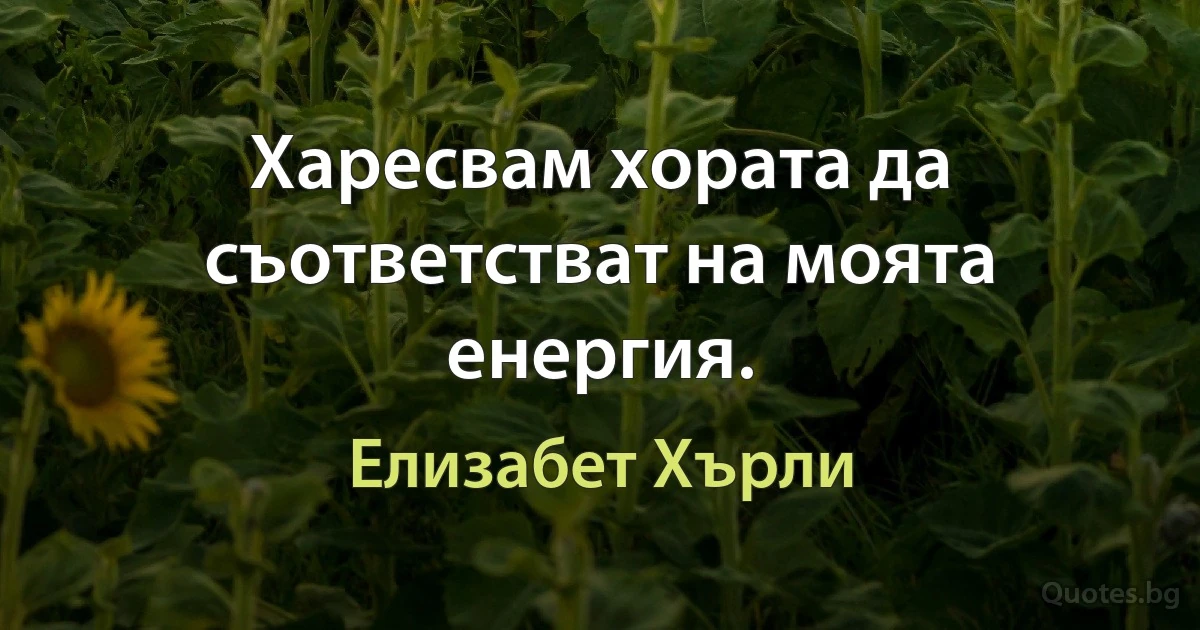 Харесвам хората да съответстват на моята енергия. (Елизабет Хърли)