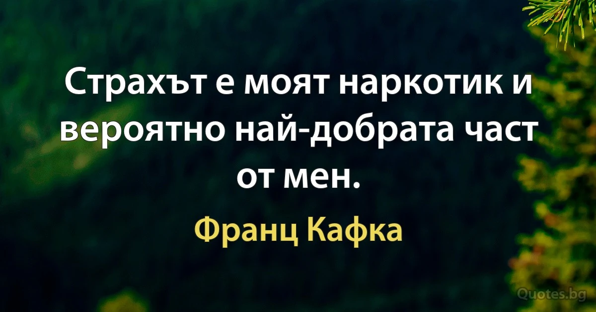 Страхът е моят наркотик и вероятно най-добрата част от мен. (Франц Кафка)