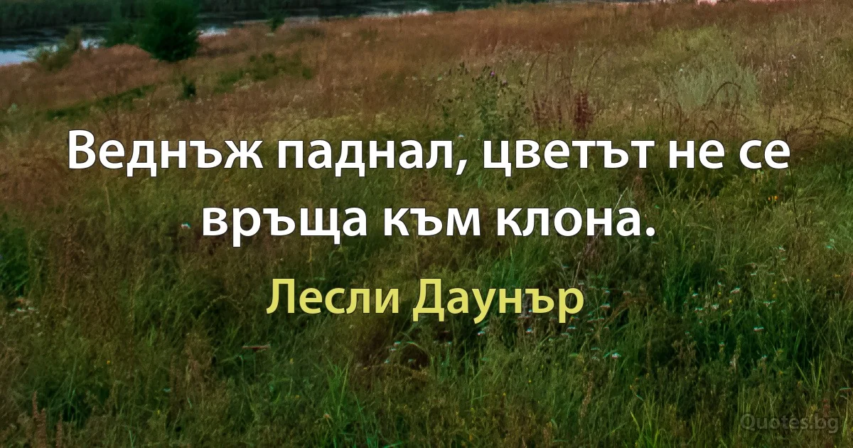 Веднъж паднал, цветът не се връща към клона. (Лесли Даунър)