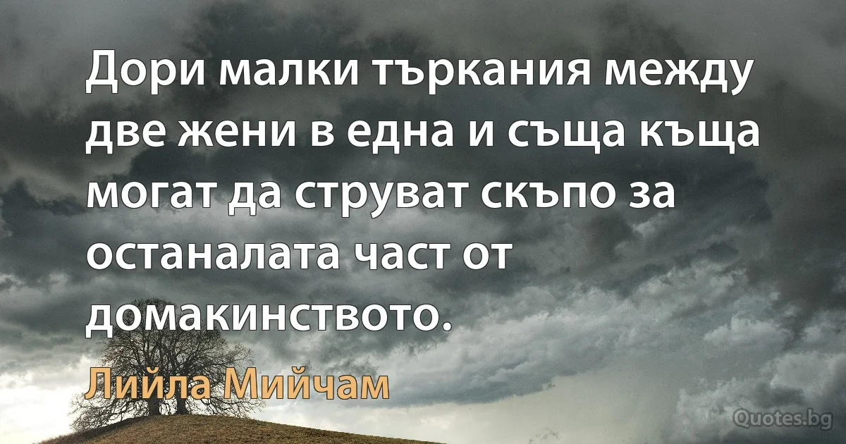 Дори малки търкания между две жени в една и съща къща могат да струват скъпо за останалата част от домакинството. (Лийла Мийчам)