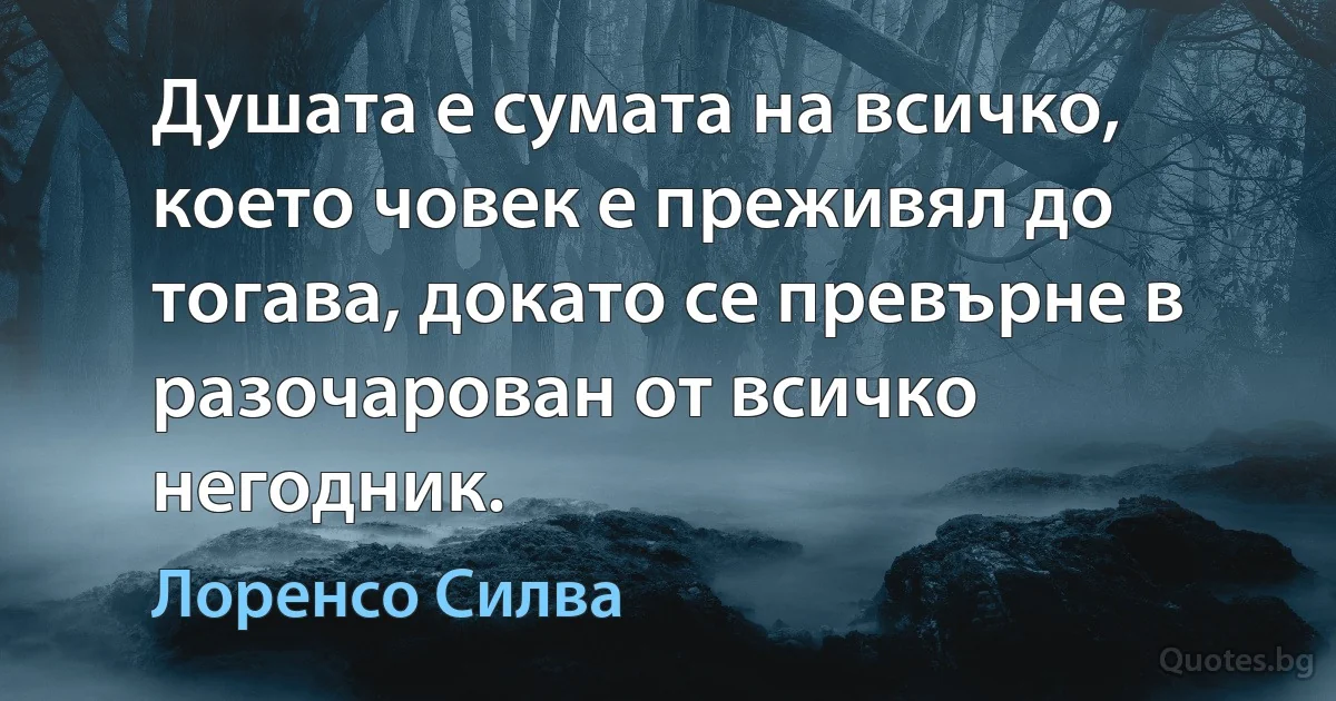 Душата е сумата на всичко, което човек е преживял до тогава, докато се превърне в разочарован от всичко негодник. (Лоренсо Силва)