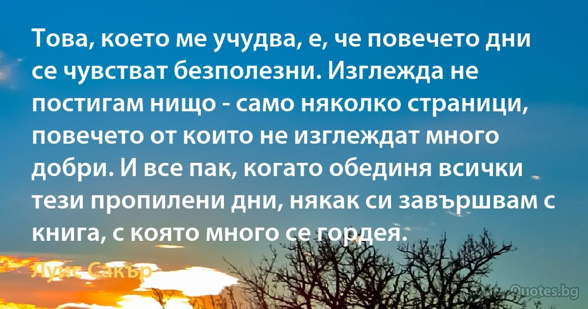 Това, което ме учудва, е, че повечето дни се чувстват безполезни. Изглежда не постигам нищо - само няколко страници, повечето от които не изглеждат много добри. И все пак, когато обединя всички тези пропилени дни, някак си завършвам с книга, с която много се гордея. (Луис Сакър)