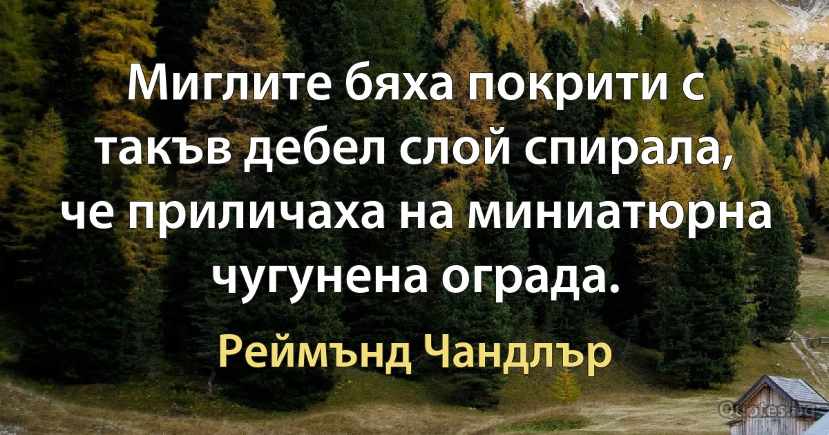 Миглите бяха покрити с такъв дебел слой спирала, че приличаха на миниатюрна чугунена ограда. (Реймънд Чандлър)