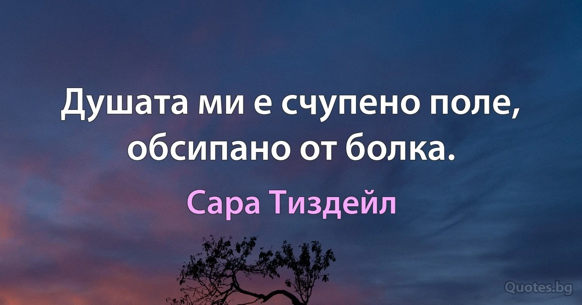 Душата ми е счупено поле, обсипано от болка. (Сара Тиздейл)