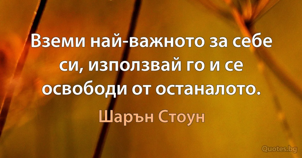 Вземи най-важното за себе си, използвай го и се освободи от останалото. (Шарън Стоун)