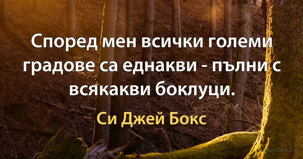 Според мен всички големи градове са еднакви - пълни с всякакви боклуци. (Си Джей Бокс)