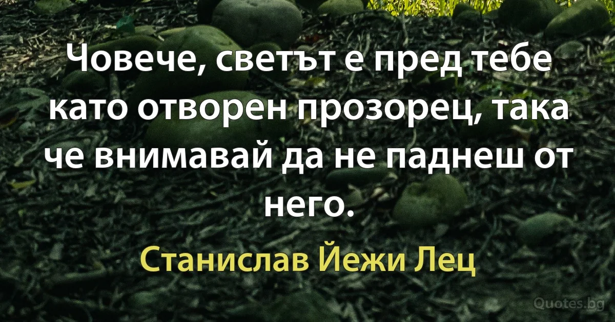 Човече, светът е пред тебе като отворен прозорец, така че внимавай да не паднеш от него. (Станислав Йежи Лец)