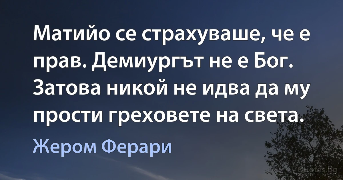 Матийо се страхуваше, че е прав. Демиургът не е Бог. Затова никой не идва да му прости греховете на света. (Жером Ферари)