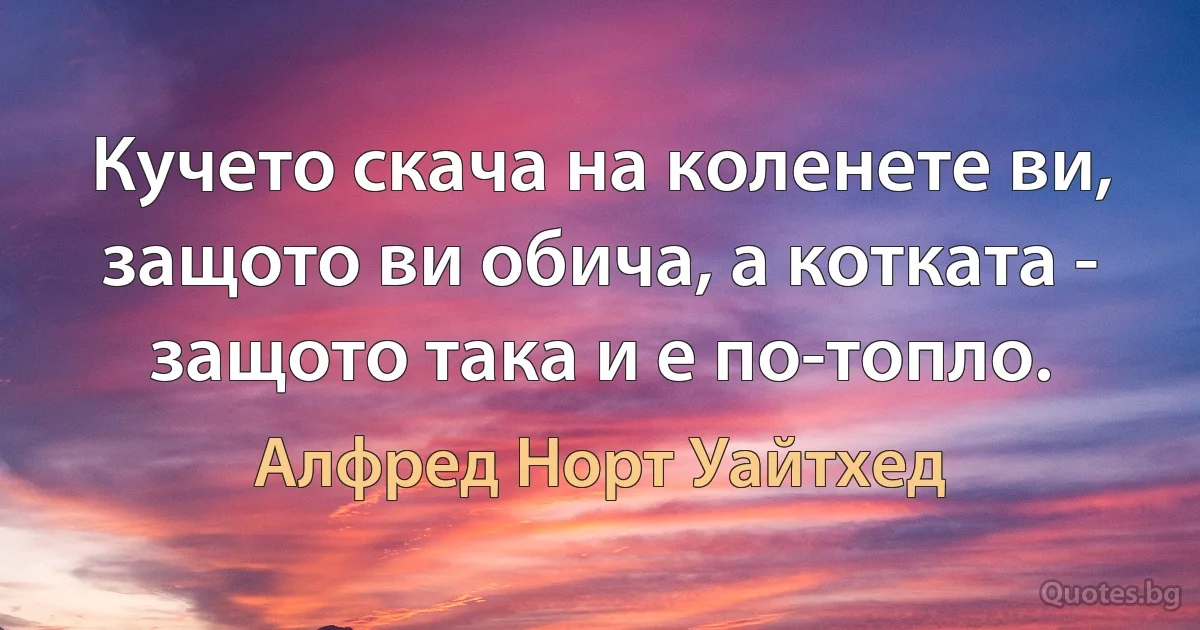 Кучето скача на коленете ви, защото ви обича, а котката - защото така и е по-топло. (Алфред Норт Уайтхед)