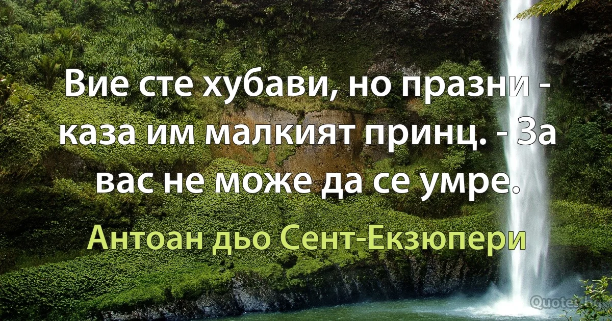 Вие сте хубави, но празни - каза им малкият принц. - За вас не може да се умре. (Антоан дьо Сент-Екзюпери)