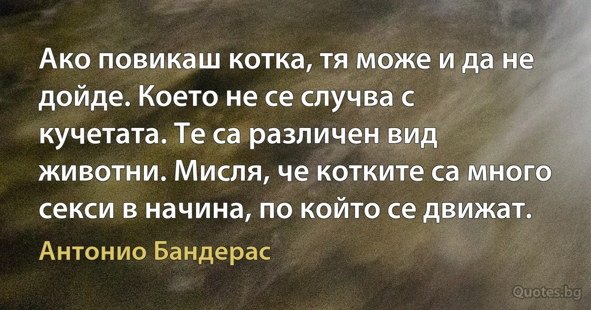 Ако повикаш котка, тя може и да не дойде. Което не се случва с кучетата. Те са различен вид животни. Мисля, че котките са много секси в начина, по който се движат. (Антонио Бандерас)